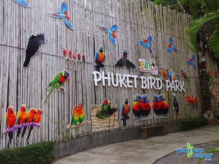 Phuket Bird Park